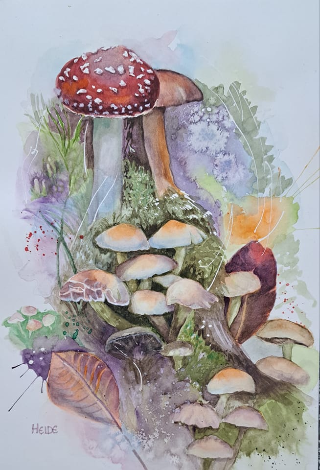 Mushrooms