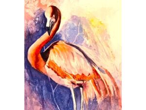 Flamingo