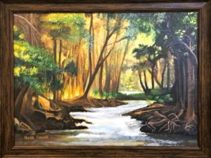 Summers day in the woods