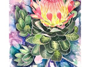 Protea between leaves